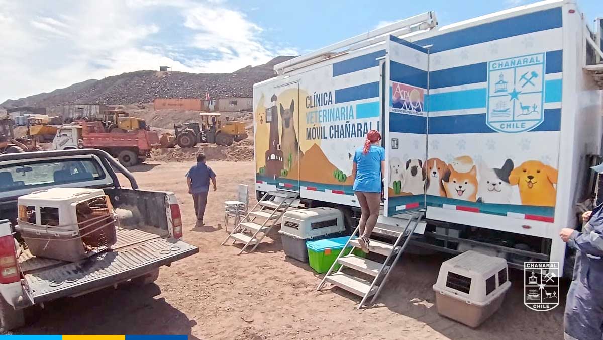 La Clinica Veterinaria Municipal llevó a cabo un operativo en el sector de Cerro Negro para abordar responsablemente la presencia de perritas en el lugar.