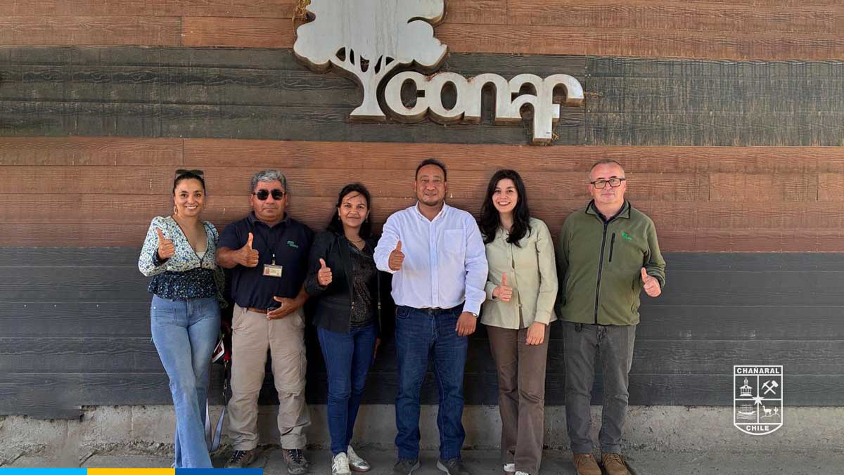 La iniciativa será emplazada en el sector comprendido entre las calles Diego de Almeyda, Zuleta y Merino Jarpa.